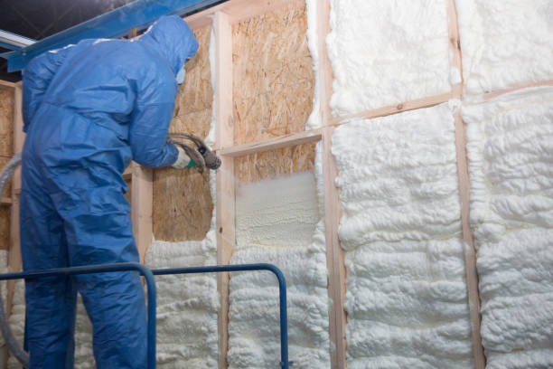 Best Insulation for New Construction  in Wise, VA